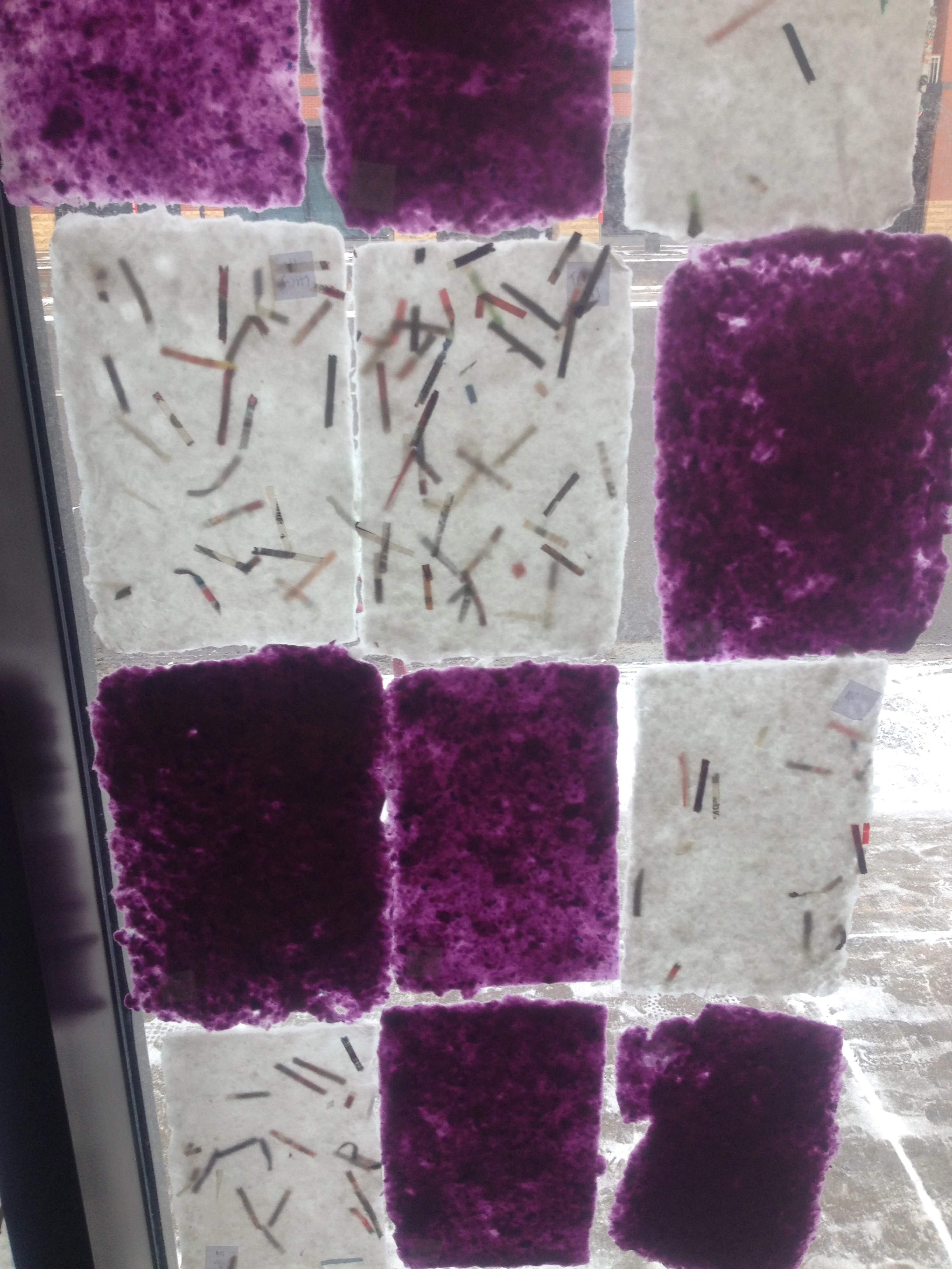 Week 6- February 22-28