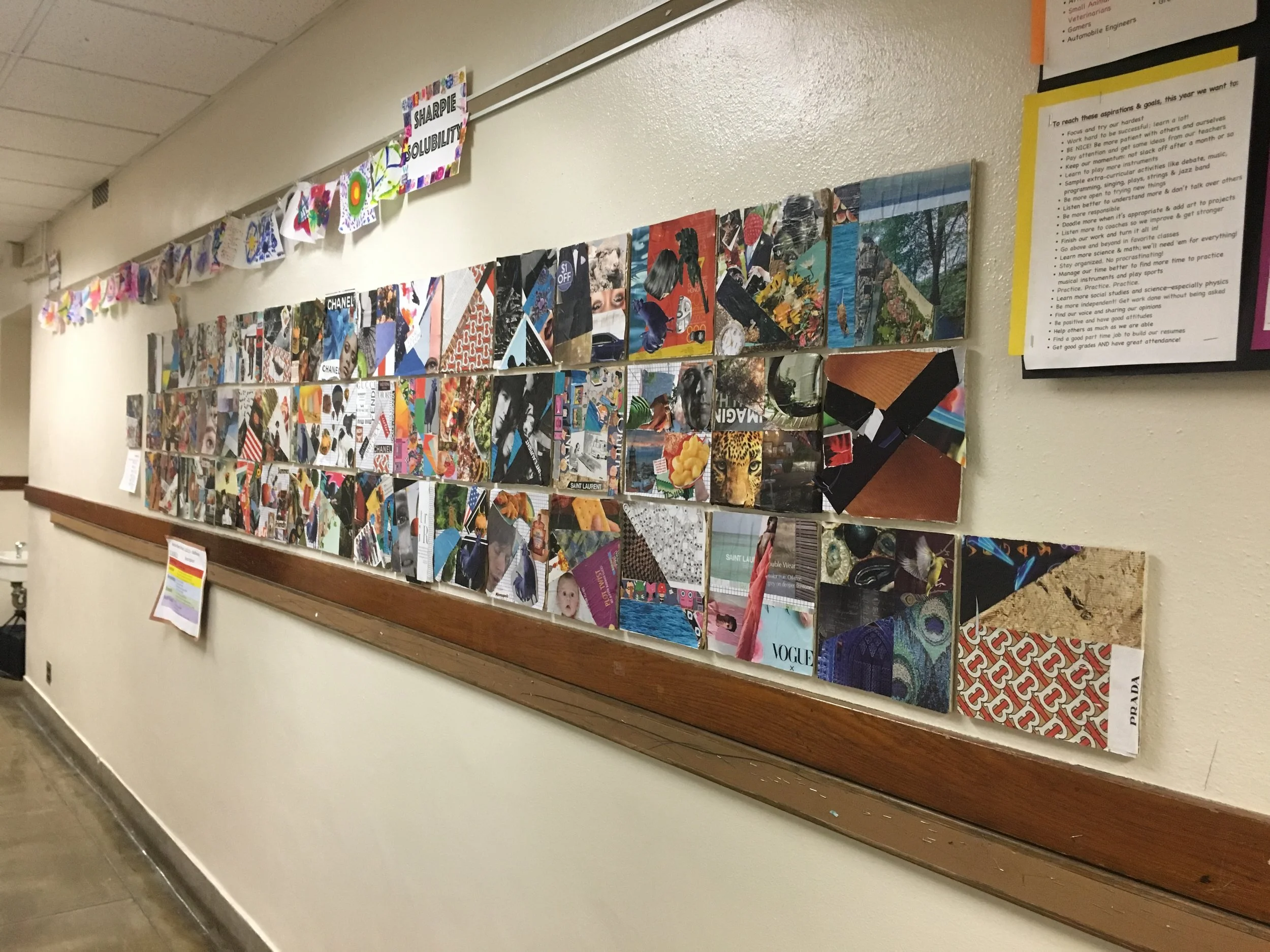 Algebraic Collage for 7th / 8th Grade by Eli deVries