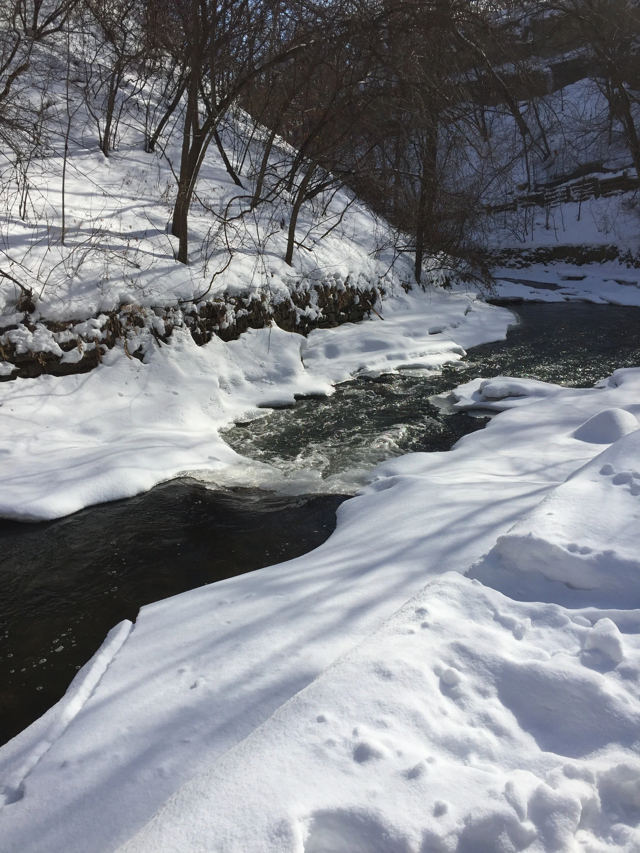 Week 4- January 27 - February 2