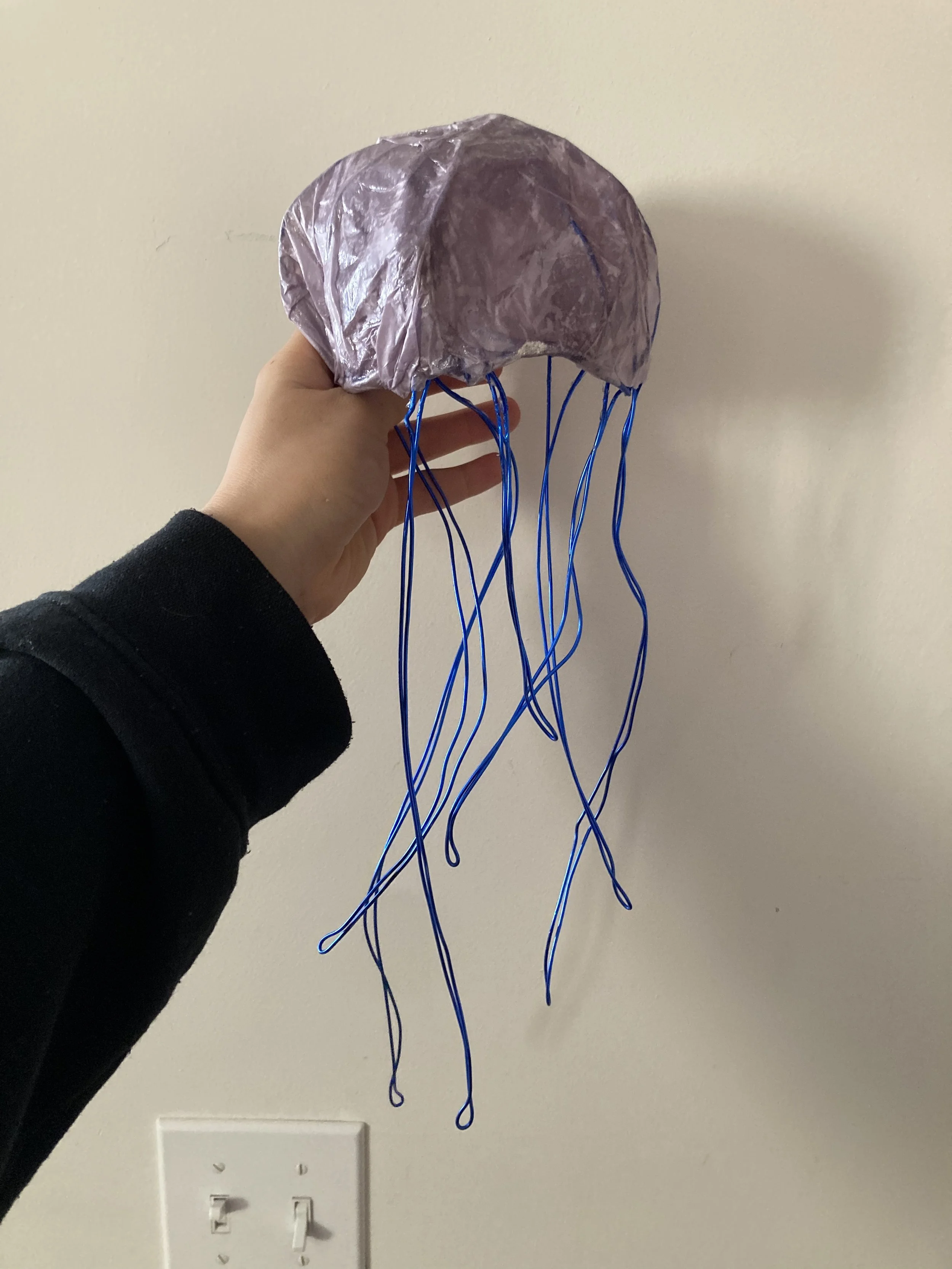 Day 8 Lesson Planning