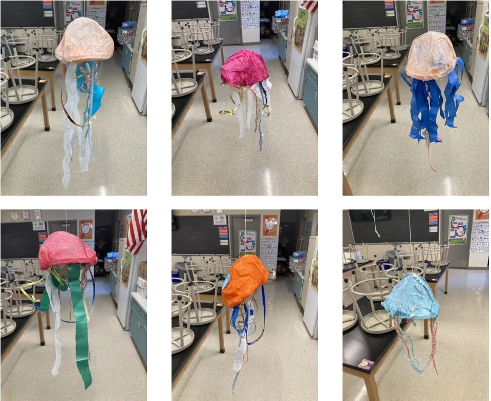 3D Jellyfish (2nd Grade)