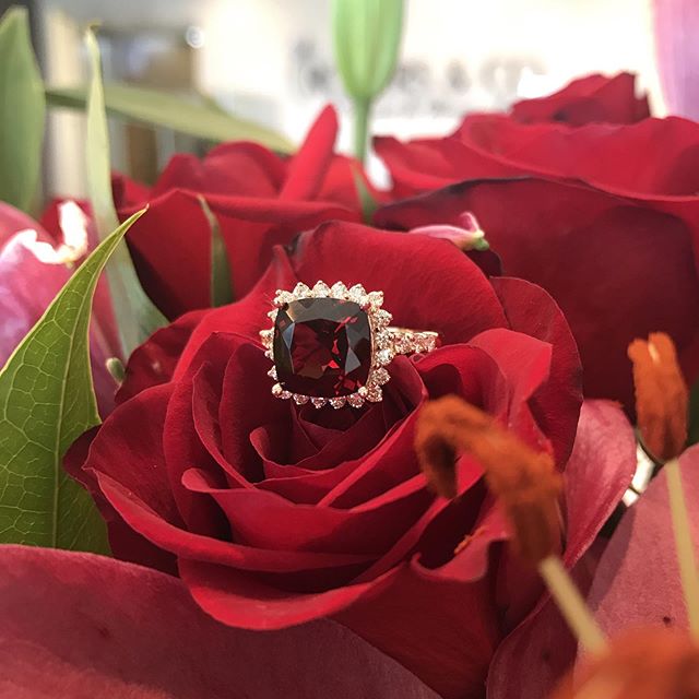 Everyone needs a little red in their wardrobe!!! I love this garnet ring!
#garnet #garnetrings #rogersandco #rogersandcofinejewelry #missoulamontana #customjeweler #red