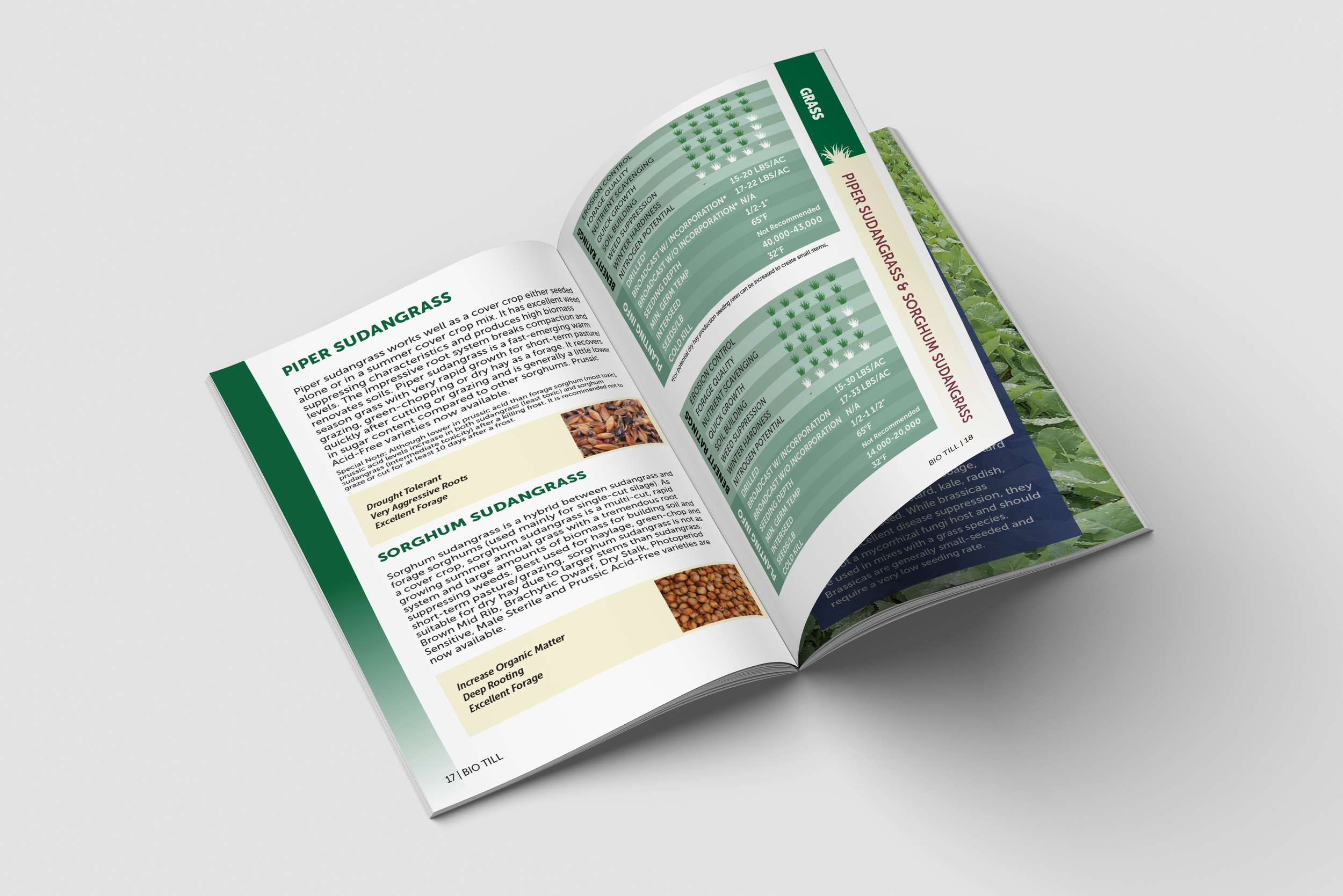 Visual design, layout and pre-press