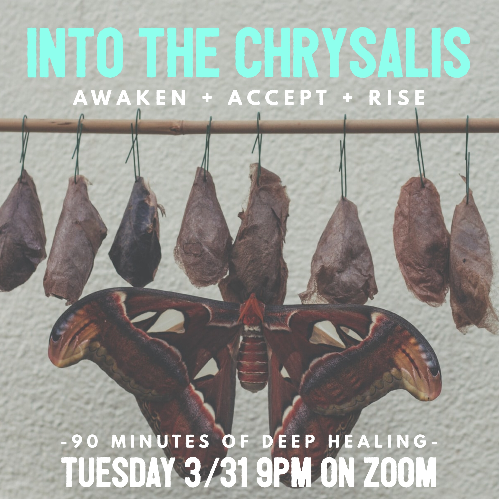 INTO THE CHRYSALIS: ONLINE HEALING RETREAT