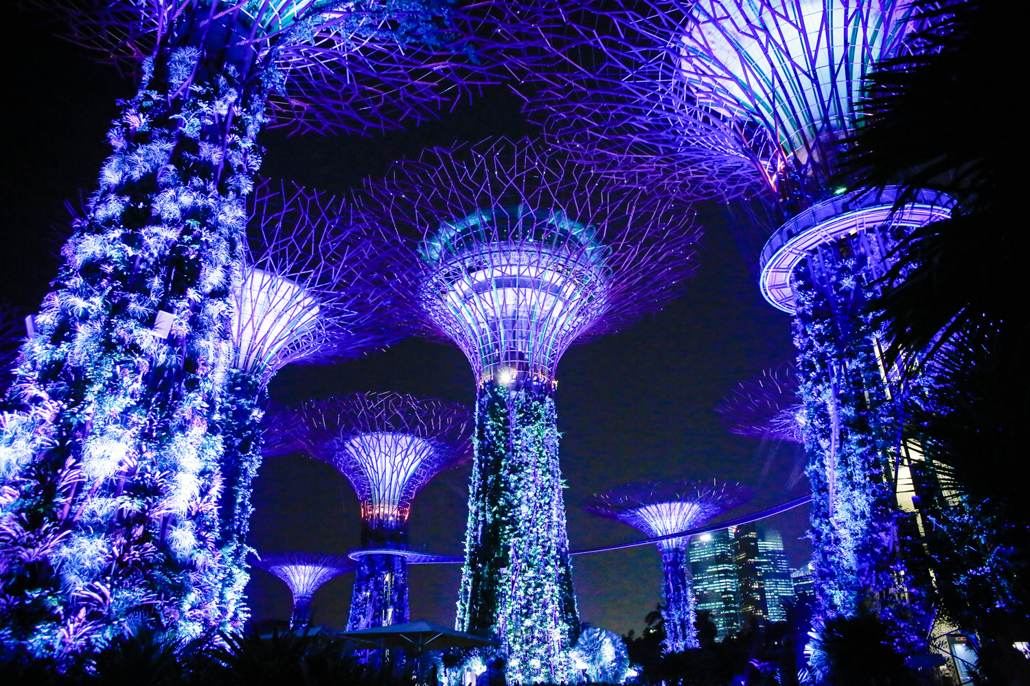 This place blew my mind. Garden's By The Bay.