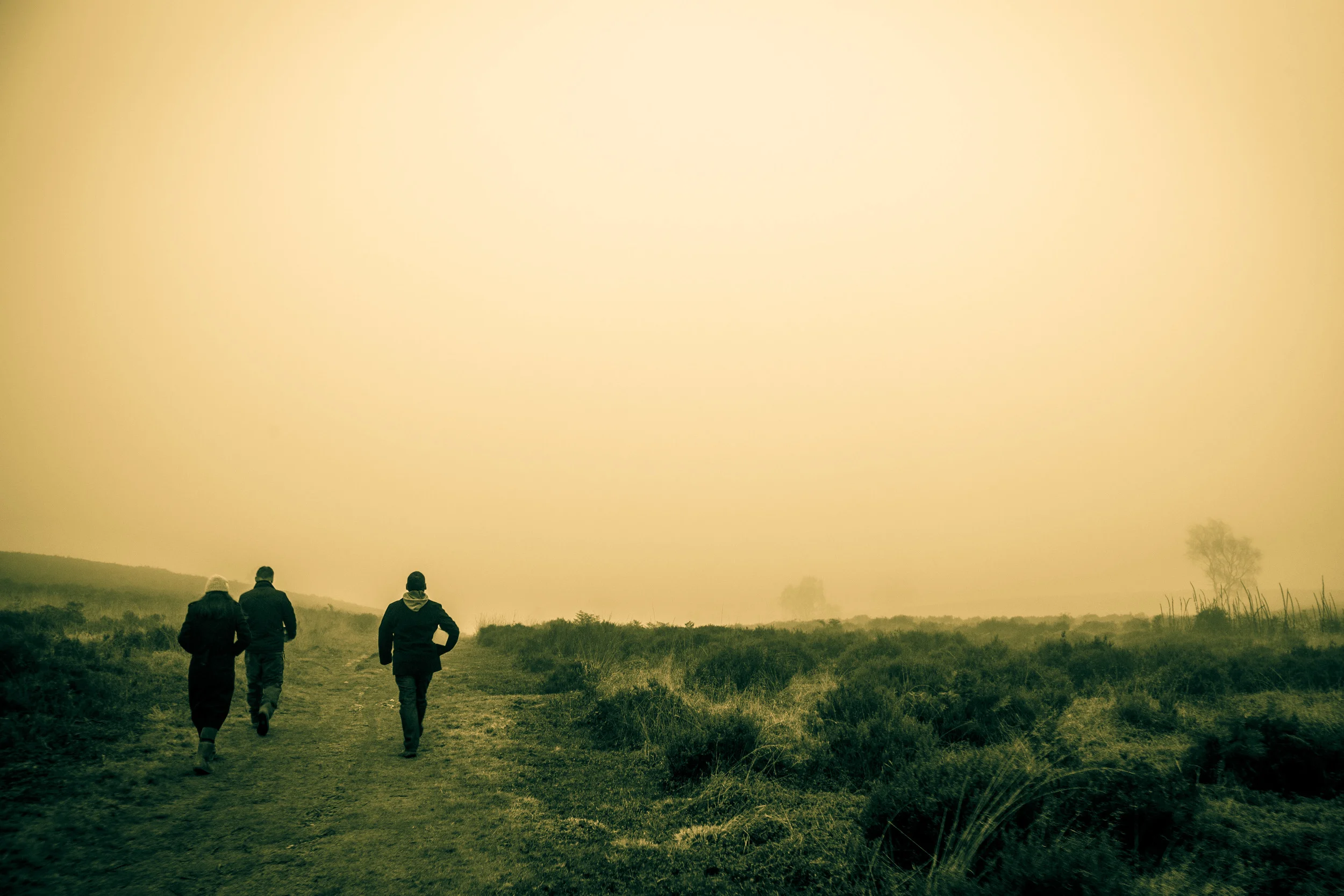 Cannock Chase_26Nov2014-2162.jpg
