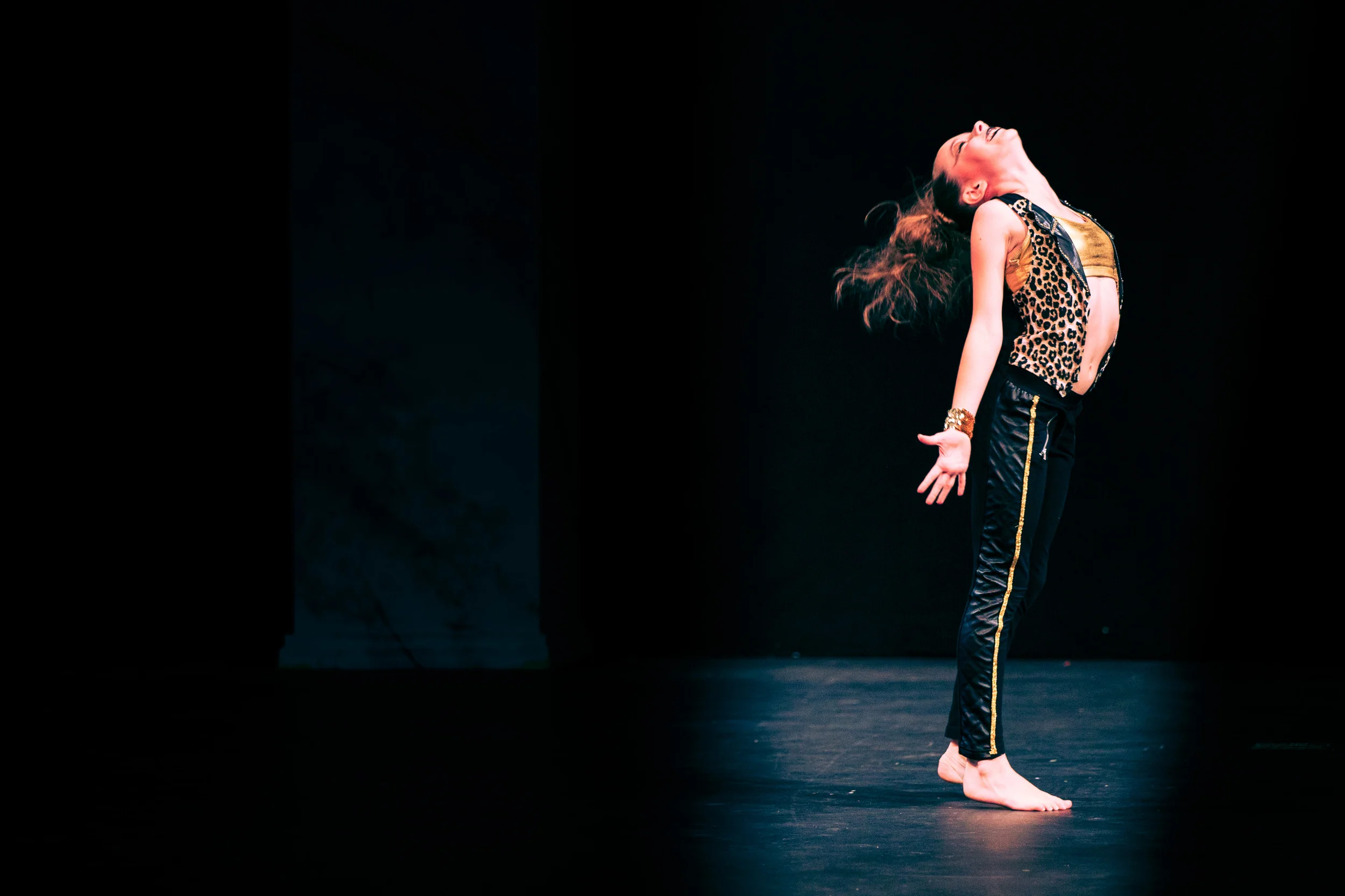 Fusion Talent_17Jan2015-5480.jpg