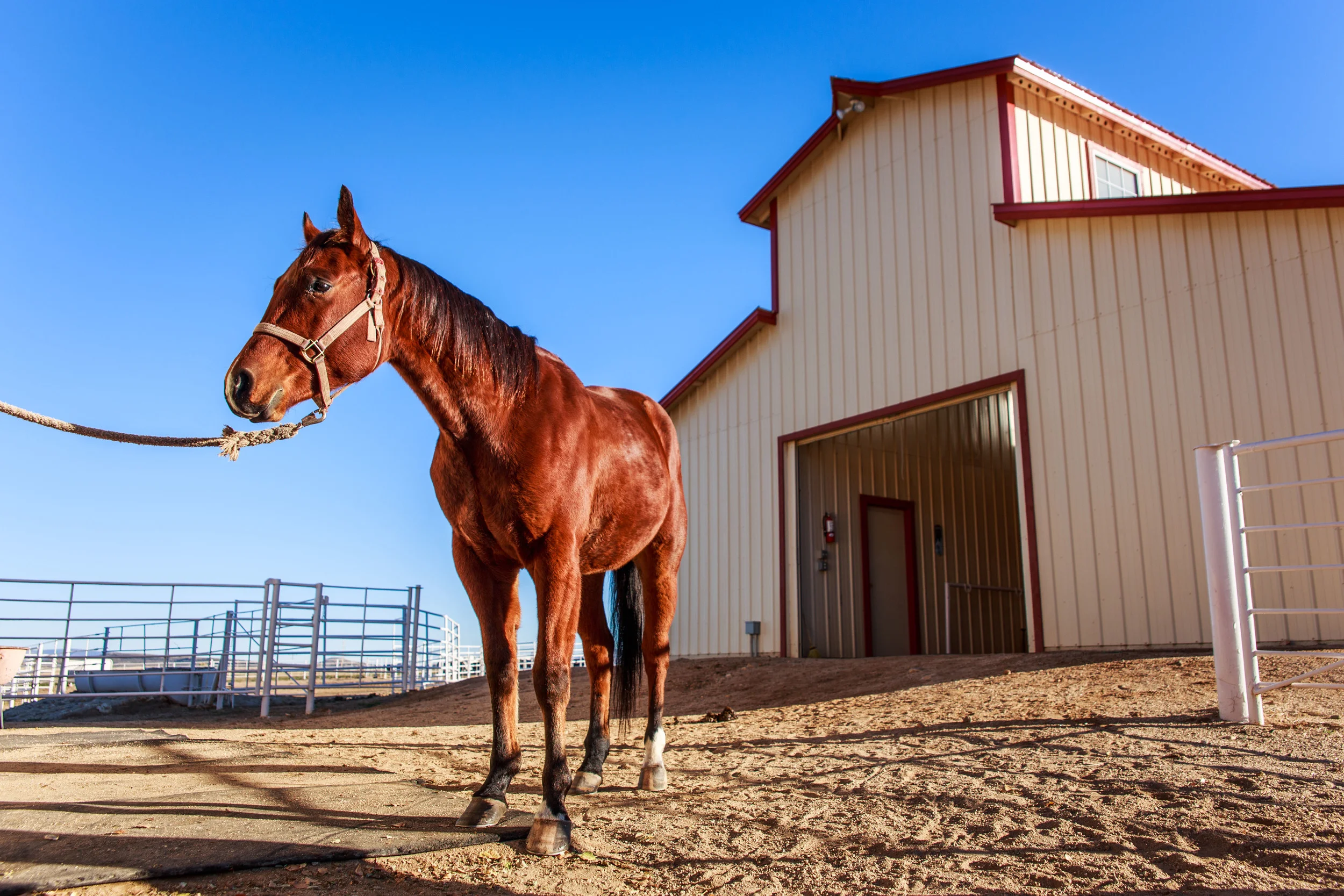 Maughan Ranches_13Nov2015-0622.jpg