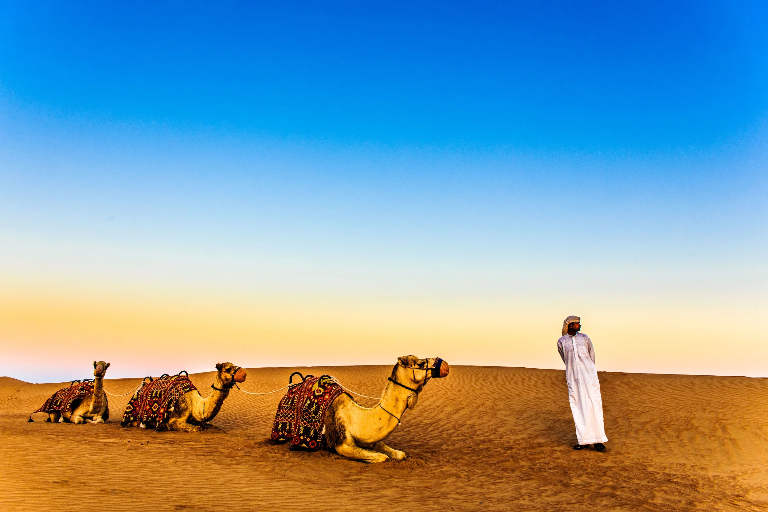 Dubai_Jan2015-6643.jpg