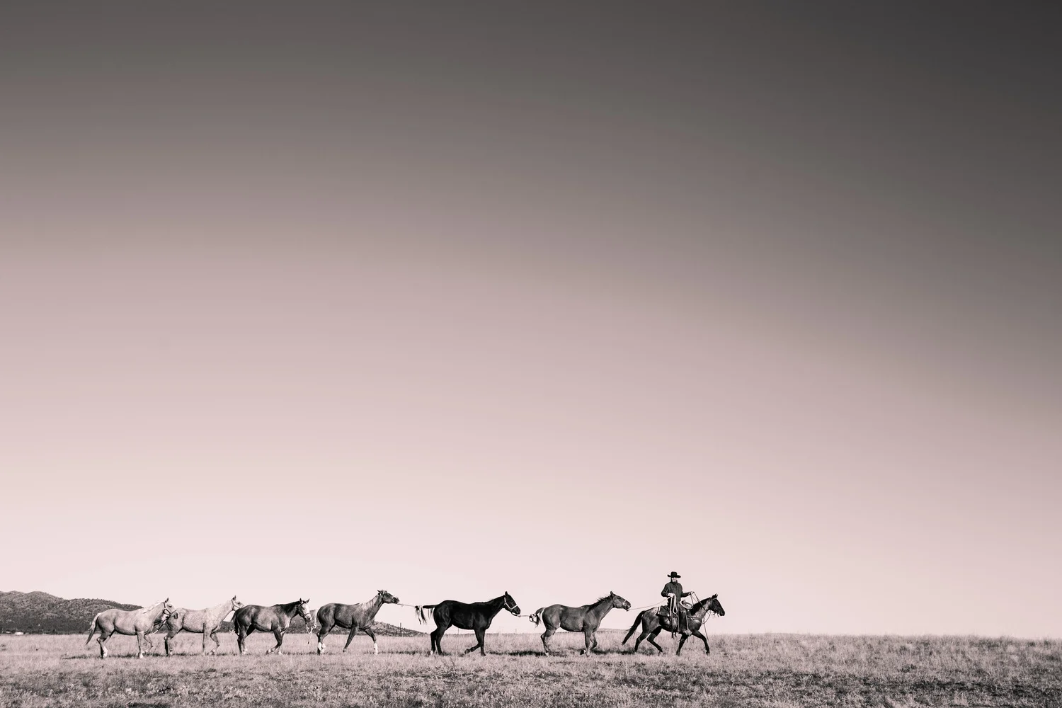Maughan+Ranches_13Nov2015-0916.jpg