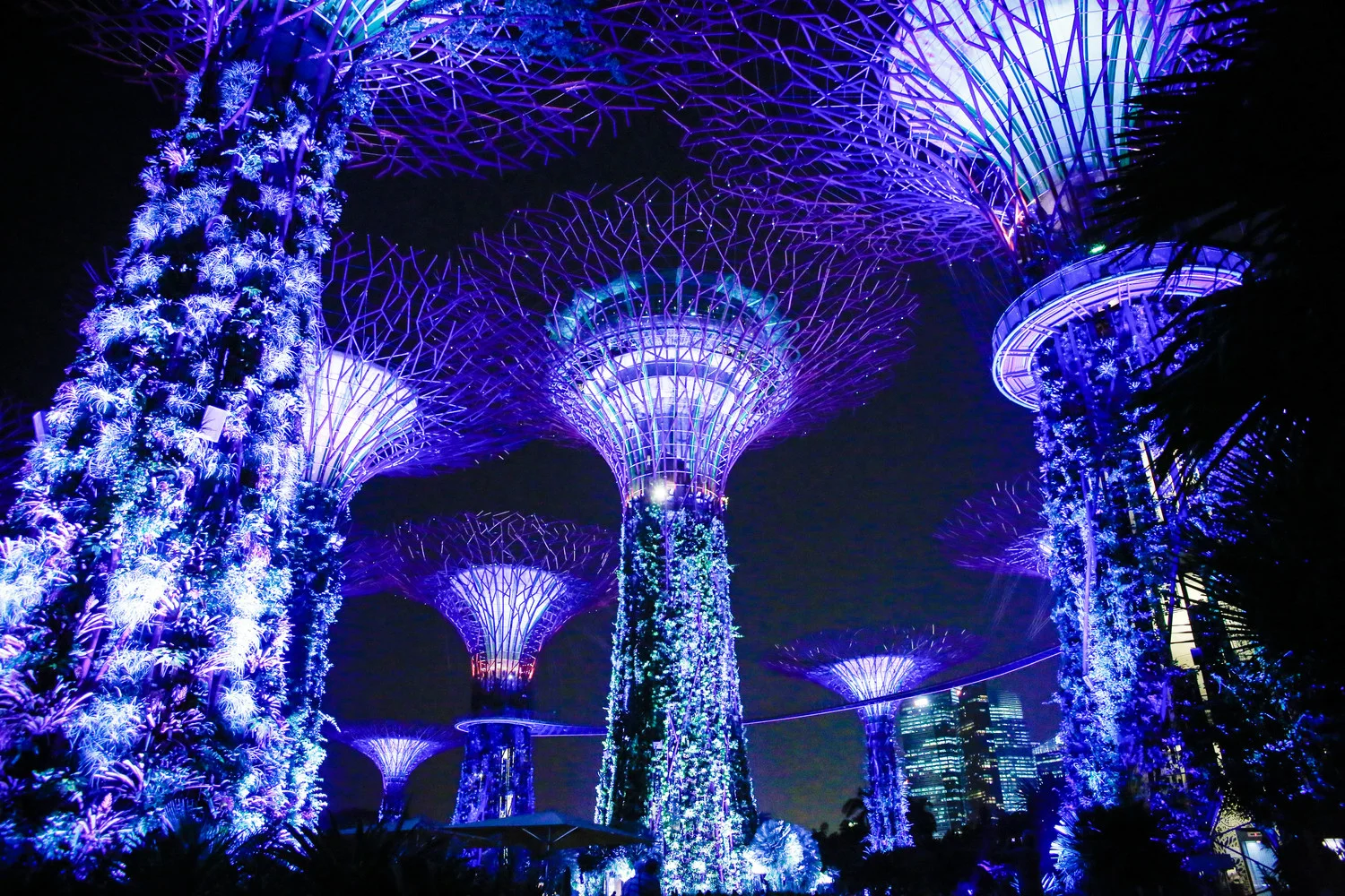 Singapore_June2014-9988.jpg