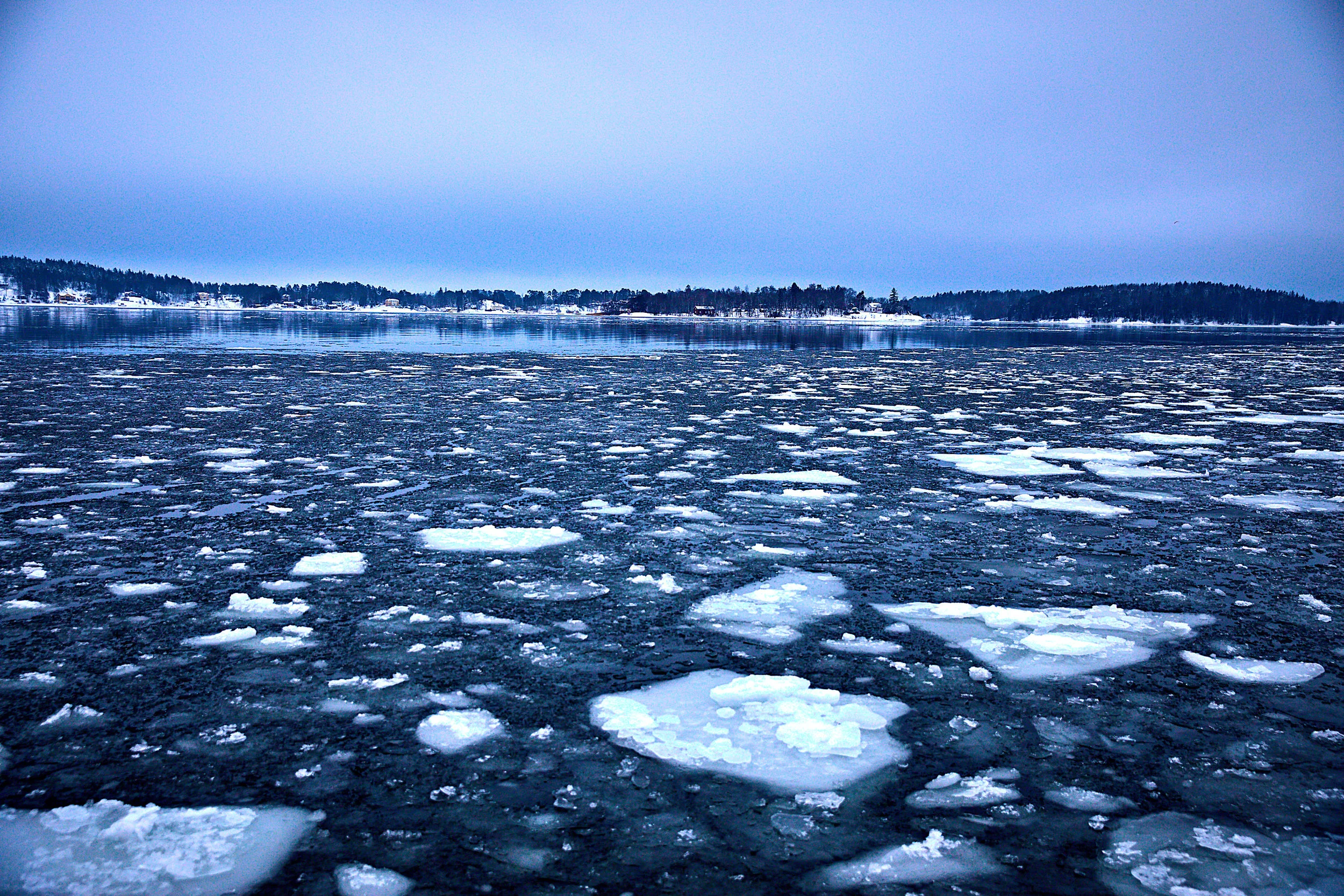 Stockholm_5Feb2019_Stockholm_5Feb2019_7V9A6865.jpg