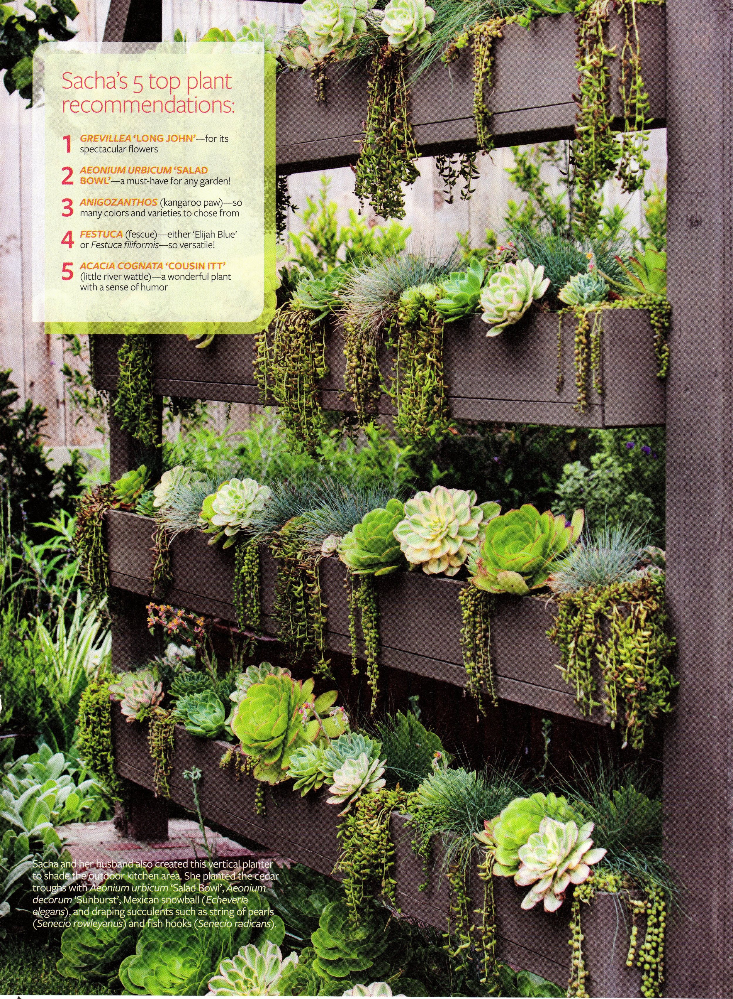 Outdoor Spaces_page 820160320_18263702.jpg