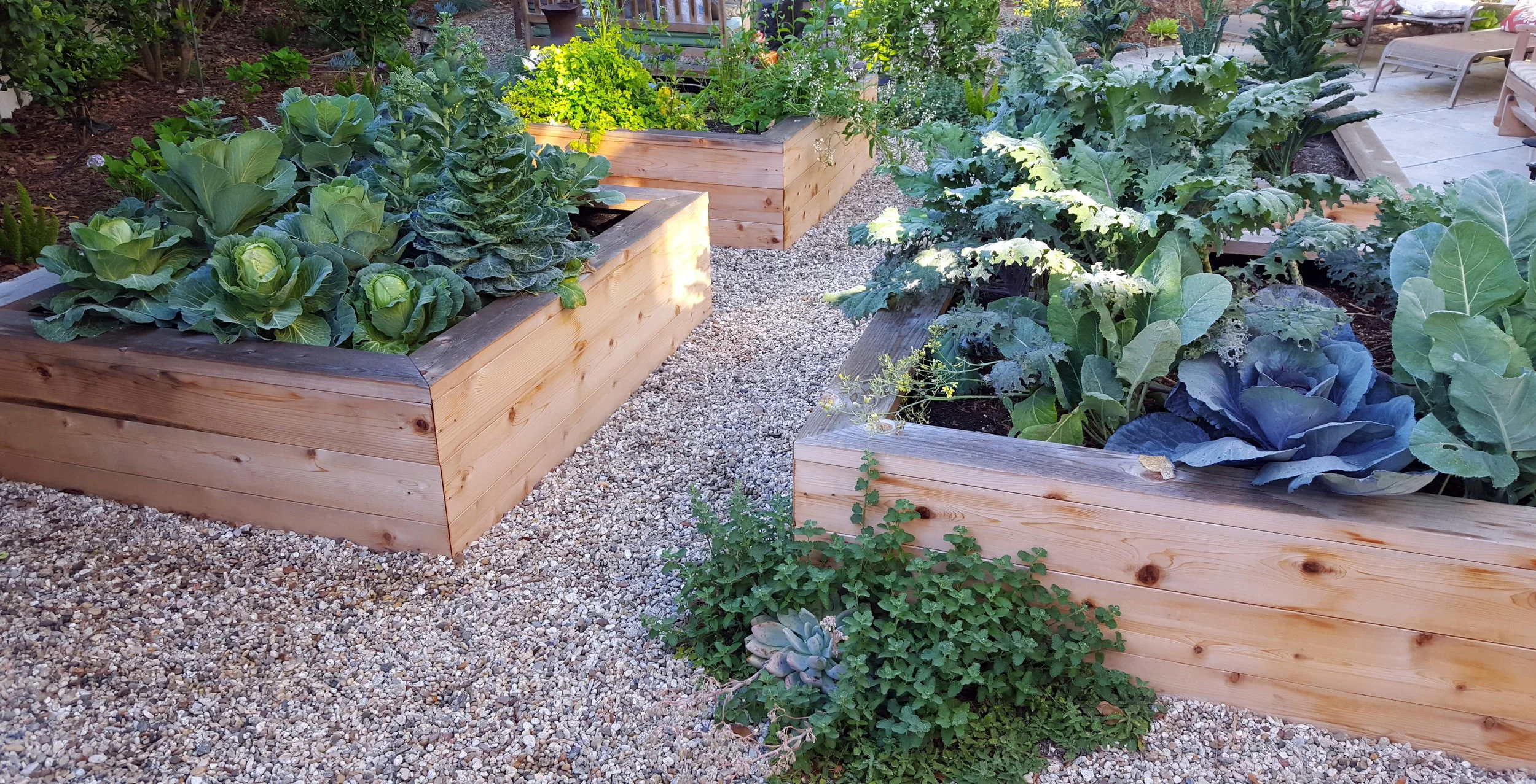 HUMMINGBIRD GARDEN DESIGN