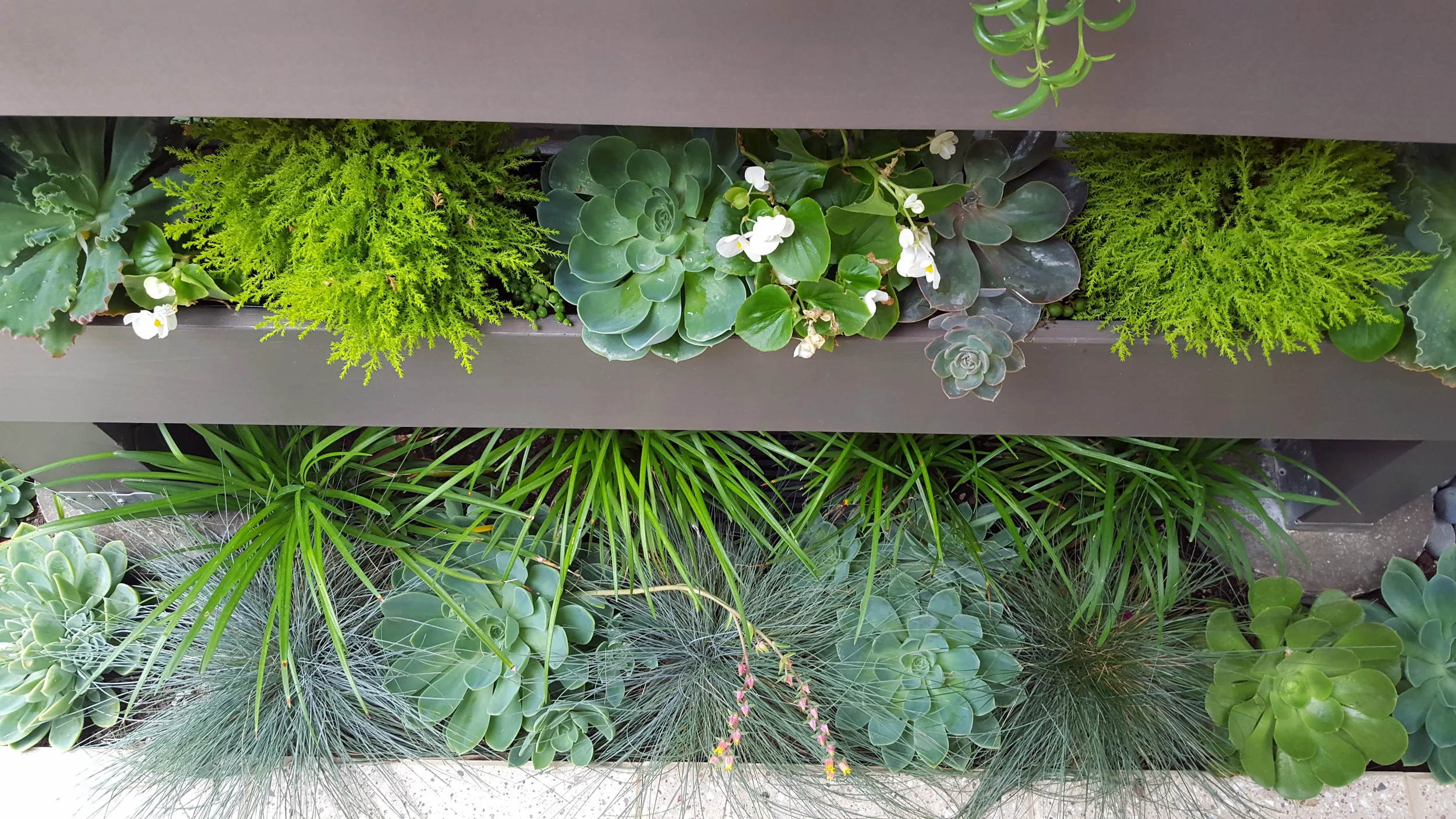 COURTYARD GARDEN DESIGN