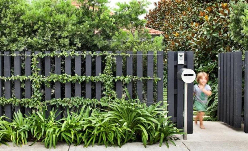 black fence 3.jpg