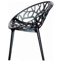 Crystal Dining Arm Chair (set of 2) in Transparent Black Polycarbonate