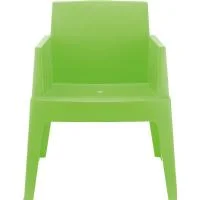 Box Dining Arm Chair (set of 2) in Tropical Green Resin