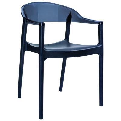 Carmen Dining Arm Chair (set of 2) Black with Transparent Black Back