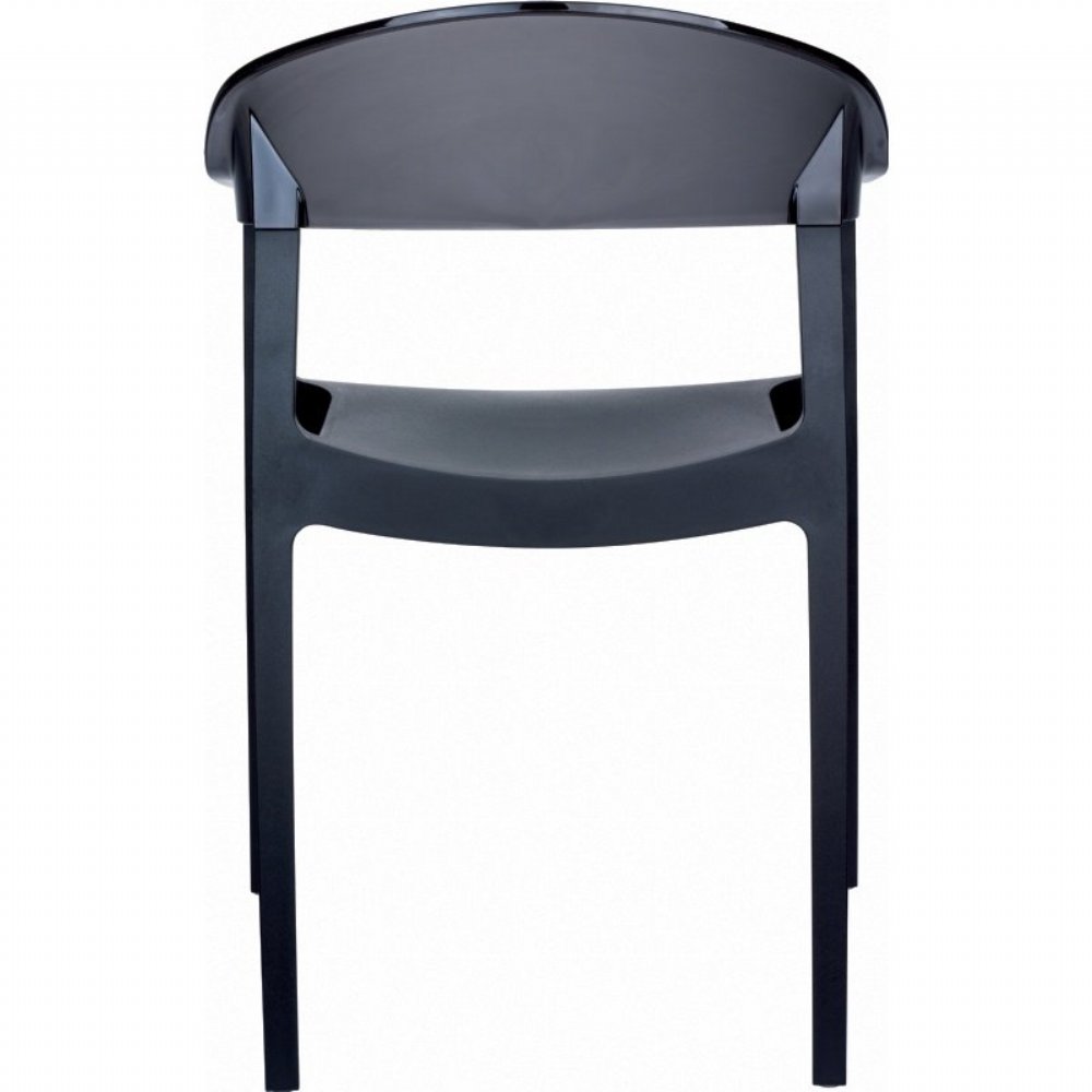 Carmen Dining Arm Chair (set of 2) Black with Transparent Black Back