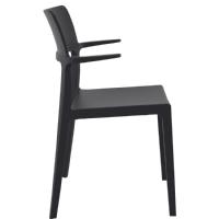 Plus Dining Arm Chair (set of 2) Black Resin