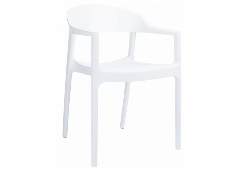 Carmen Dining Arm Chair (set of 2) Glossy White