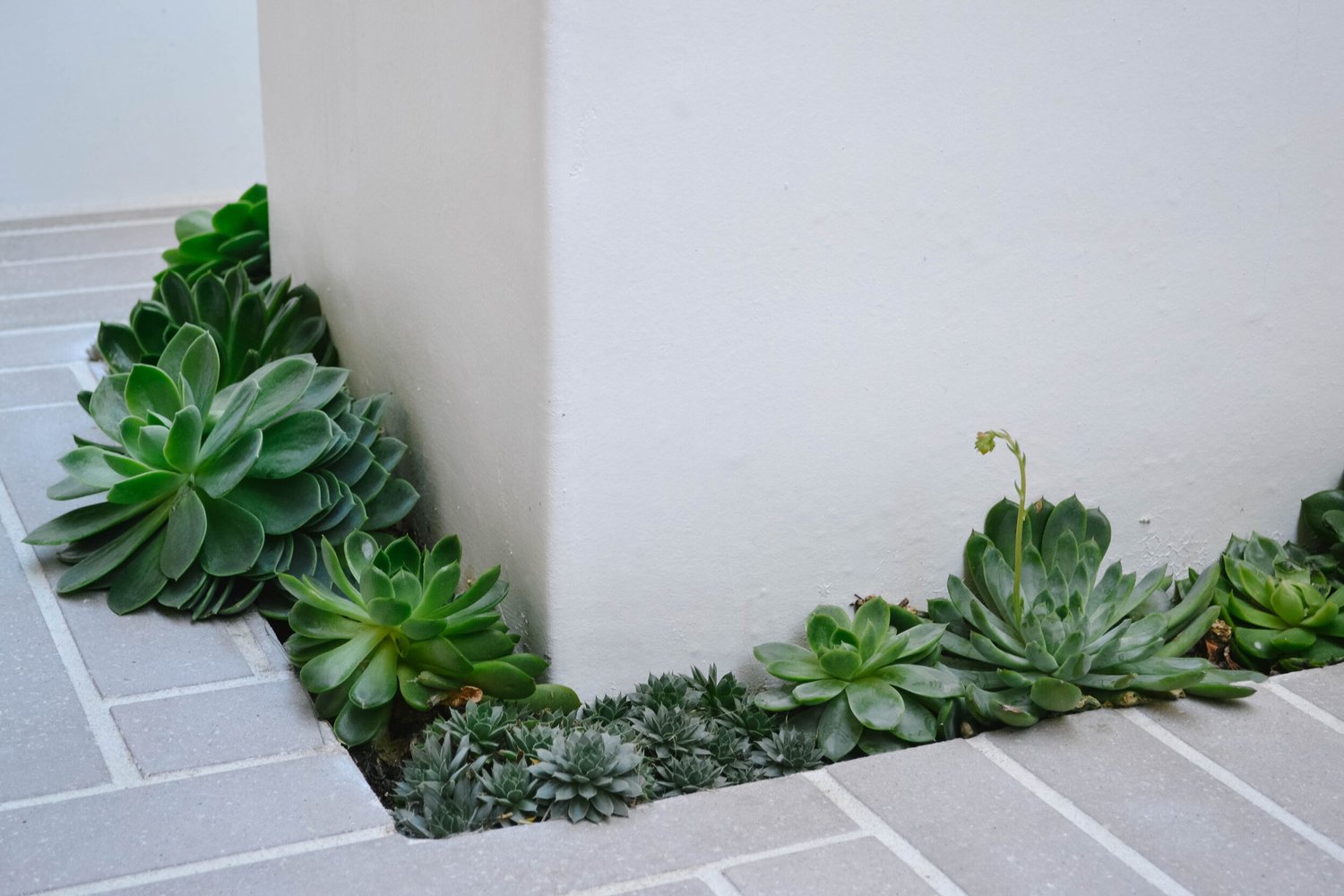 Thumbnail for Small Apartment Courtyard Design Ideas With Plants And Small Space