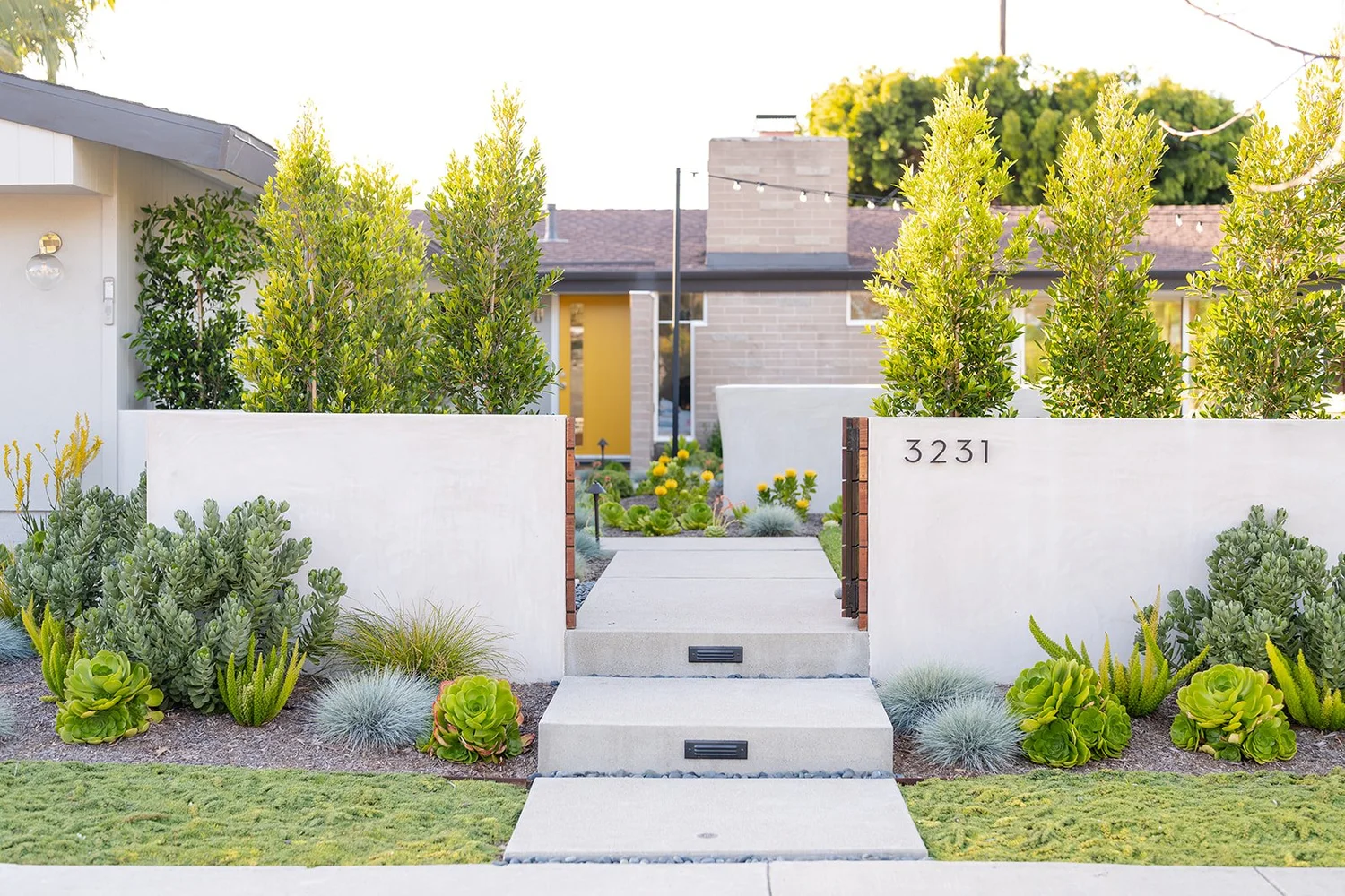 Mid Century Courtyard Garden — Living Gardens Landscape Design