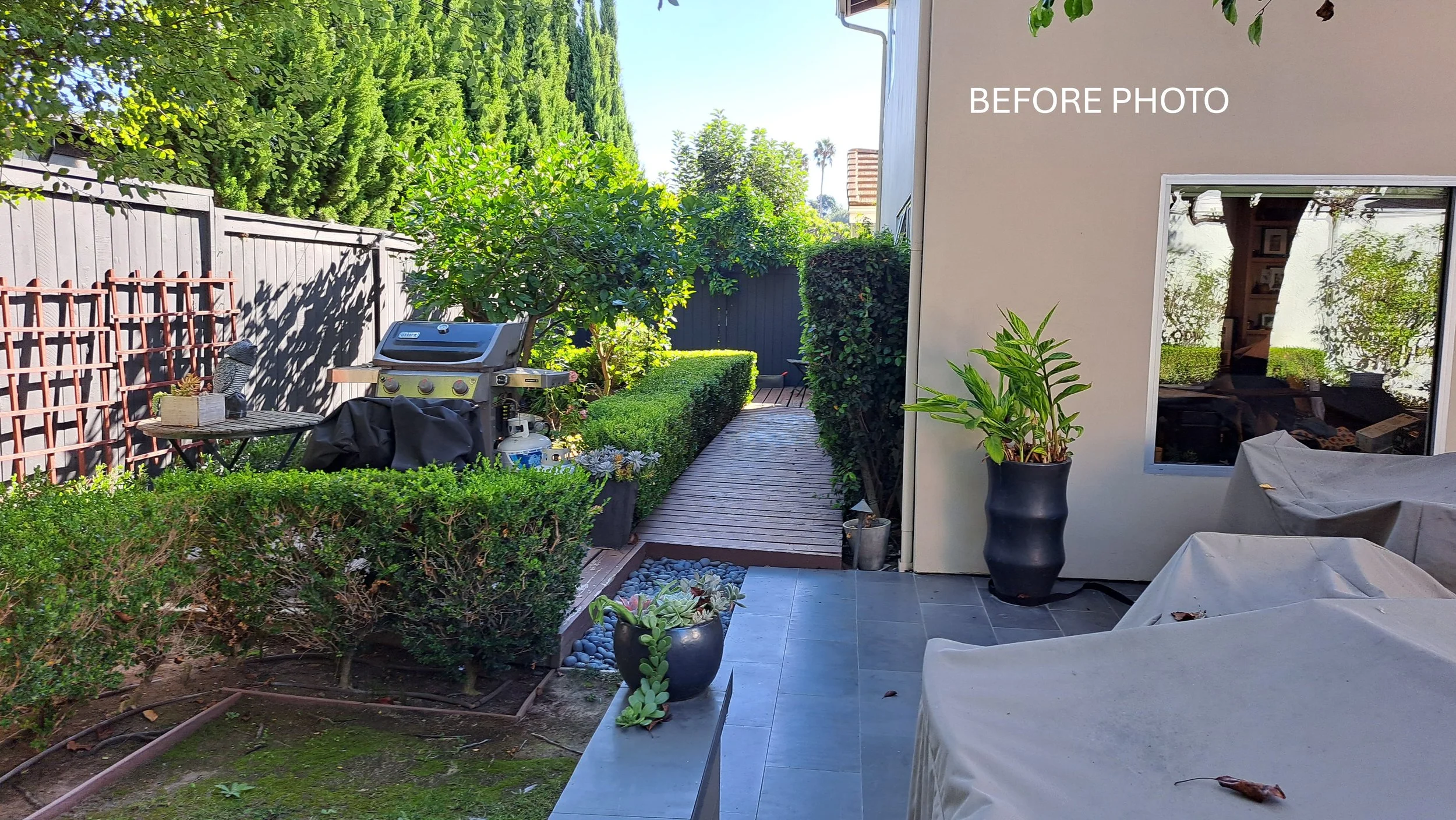 20231004_153232.JPG 2.JPG