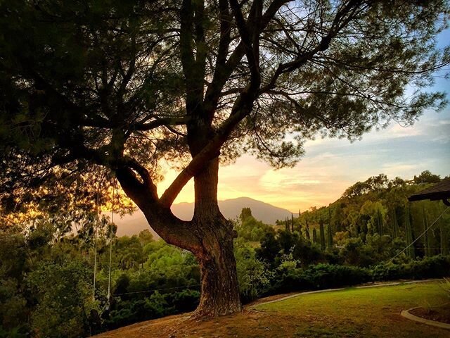 Find your serenity in nature 📷: @jenkleiner