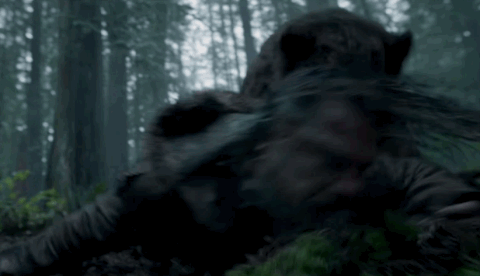 bear-testing.gif