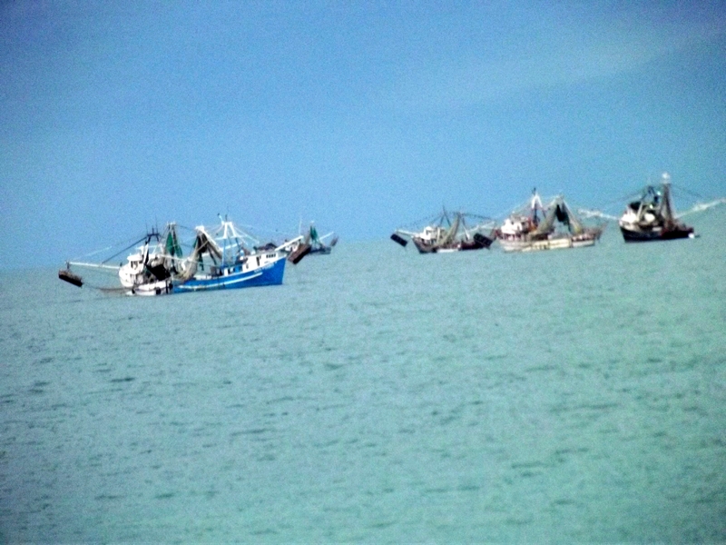 m_DSCF0301.jpg