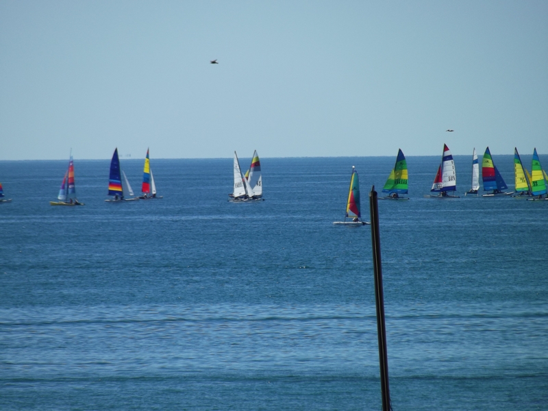 m_DSCF0341.jpg