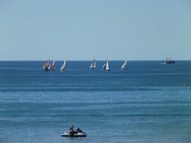 m_DSCF0342.jpg