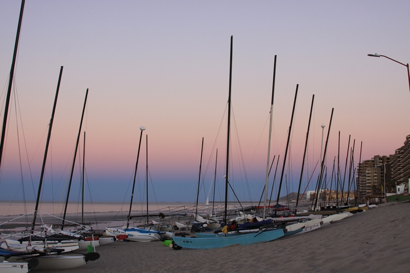 m_IMG_6790.jpg