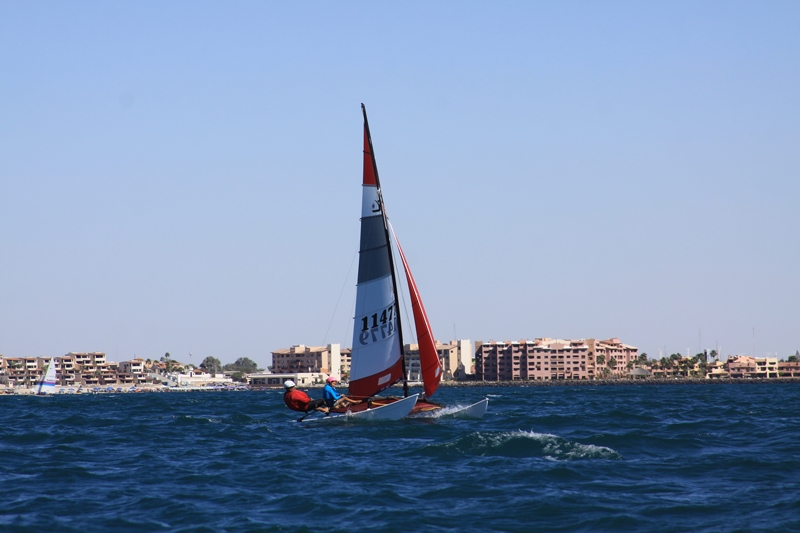 m_IMG_7015.jpg