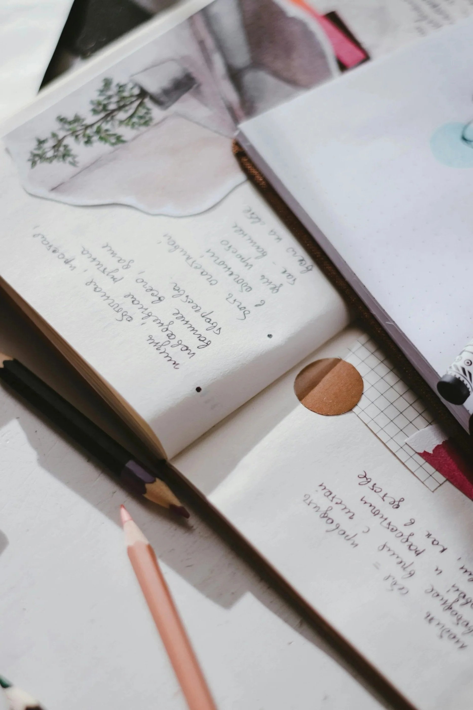 Open notebook with handwritten notes, botanical illustration, pencils, and stationery on a desk