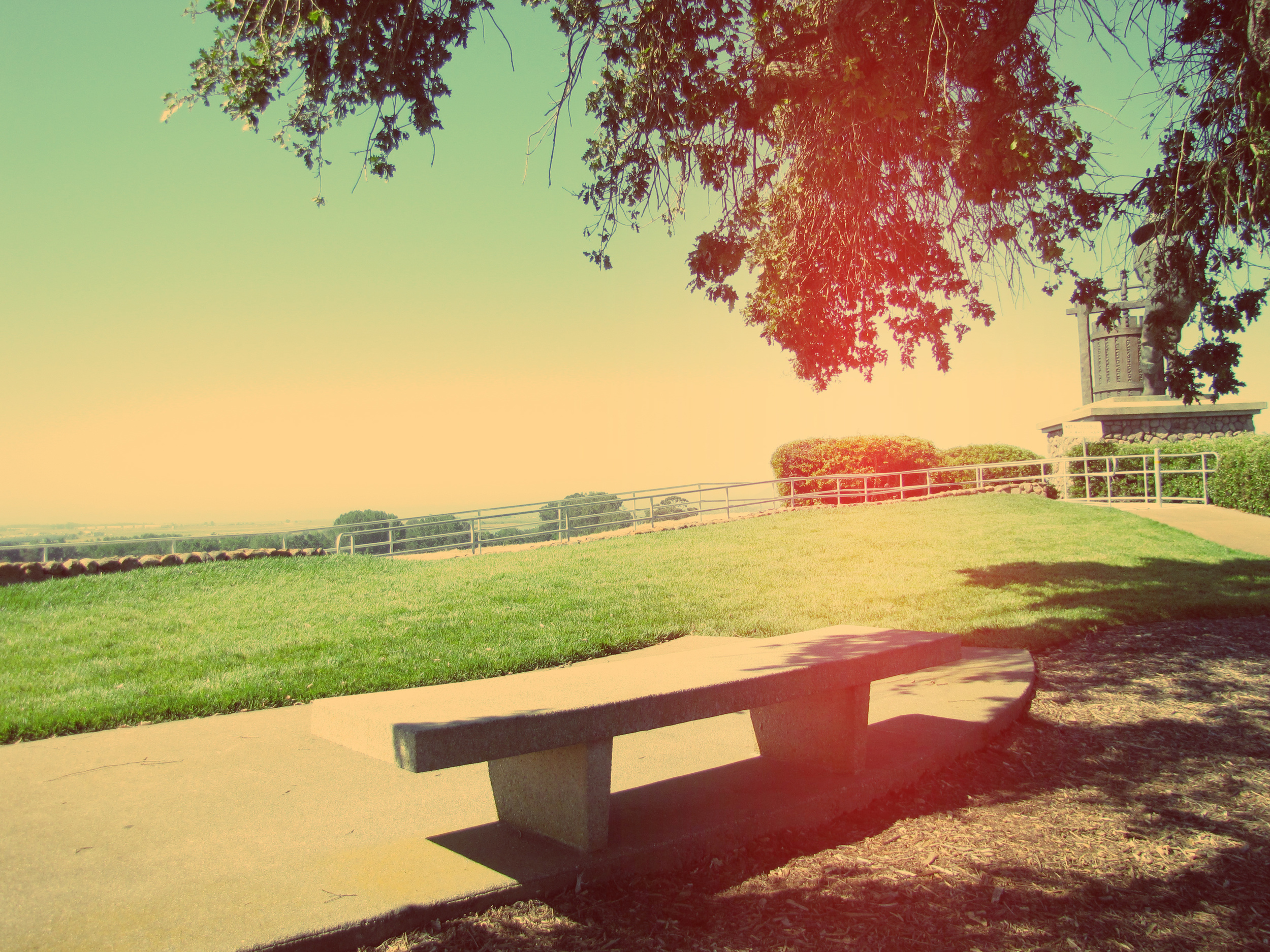 Bench.jpg