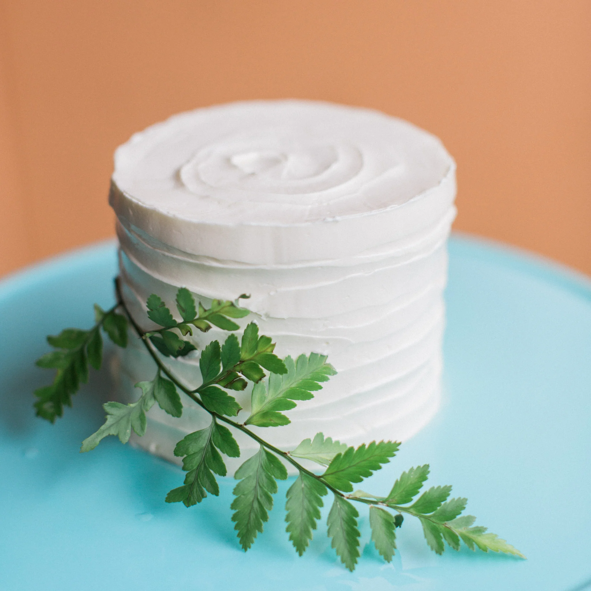 Wedding-Cake-Tasting-4-inch-cake-Marie-Shannon-Confections-Rhianna-Mercier-Photography -1.jpg