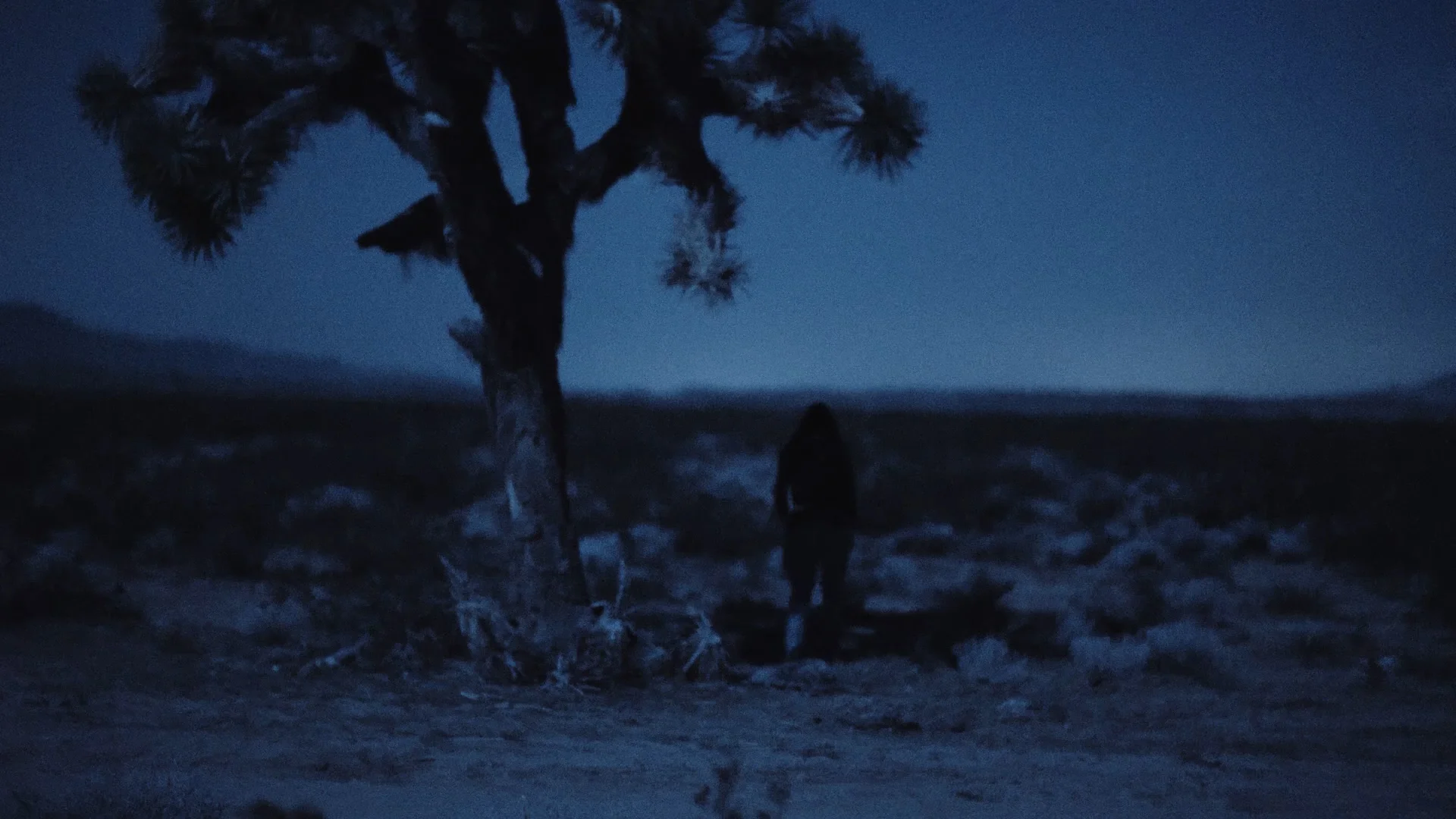 Only moonlight.