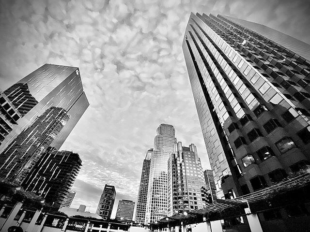 DTLA. Not the old stomping grounds that it used to be. Amazing how much downtown has improved from when I used to skateboard down these streets.