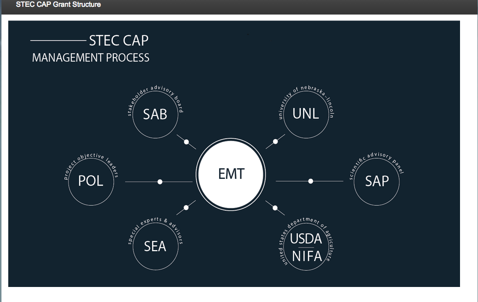 STEC organization.png