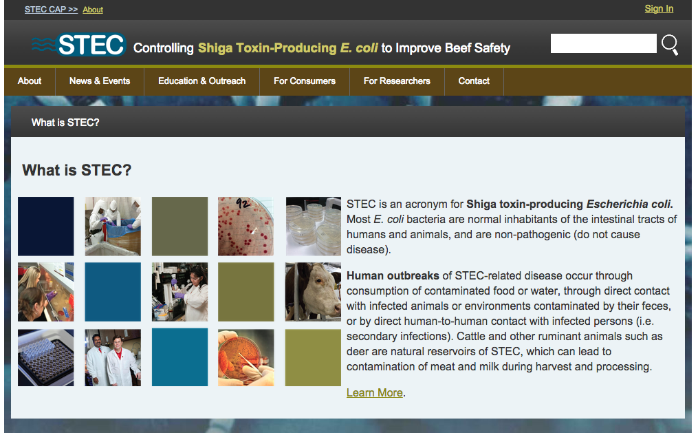 STEC Home screen.png