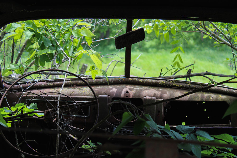 Overgrown-Car.png