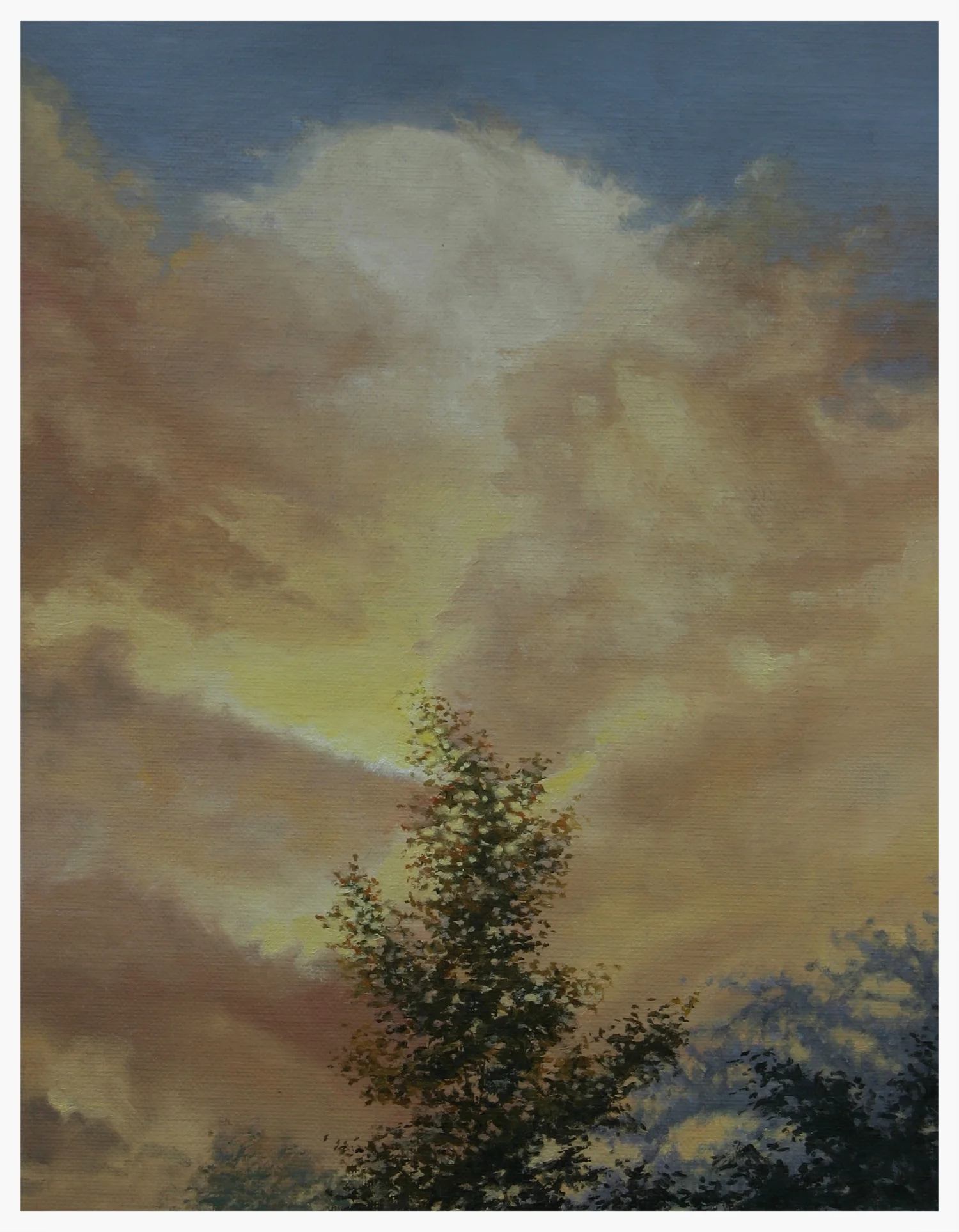 "Summer Storm": FOR SALE (email for information)