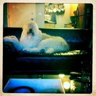 Original shot of Ollie