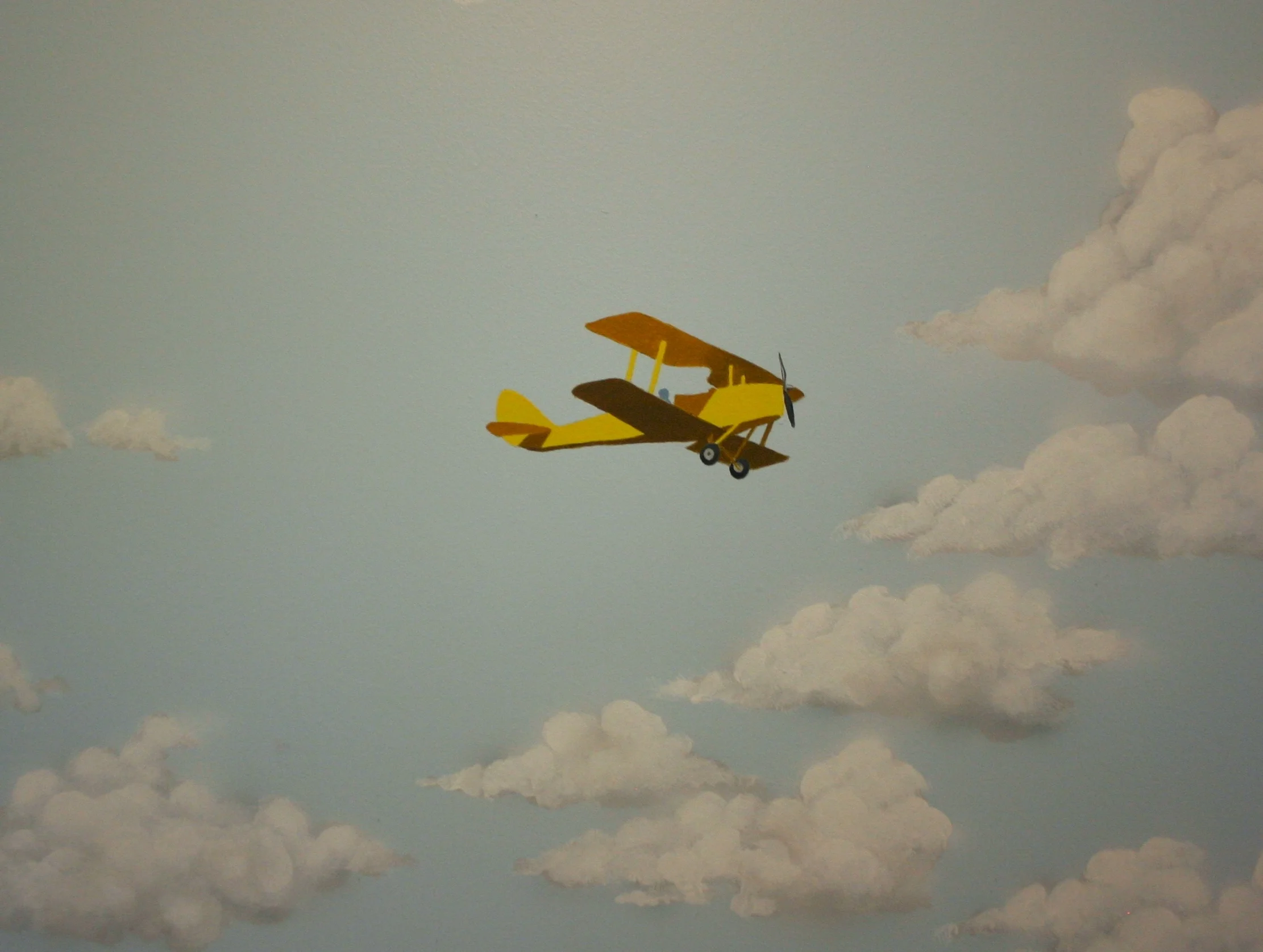 Small plane detail