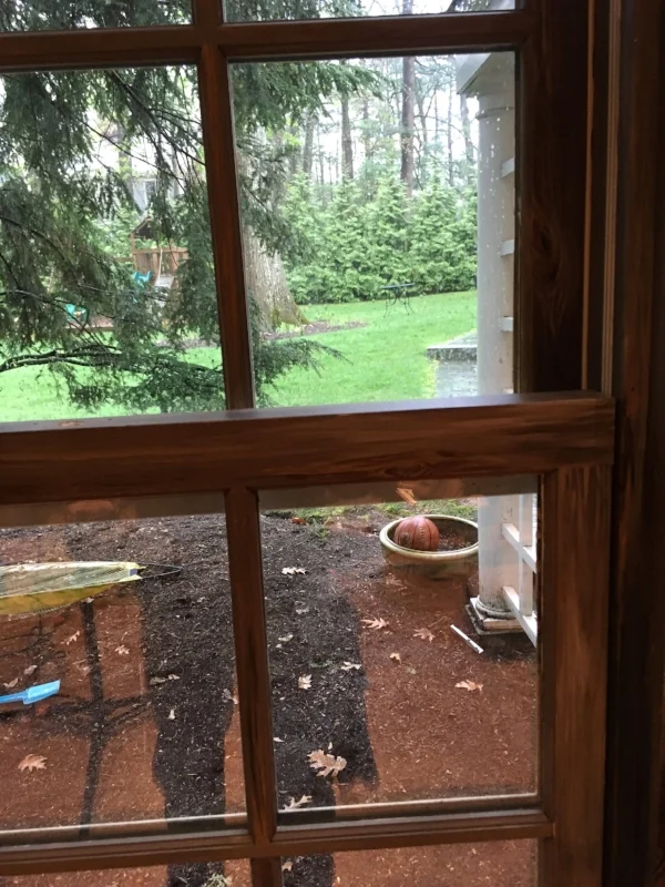 Window 1 detail