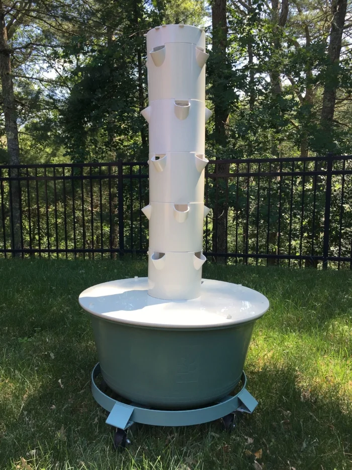 The Tower Garden before transformation
