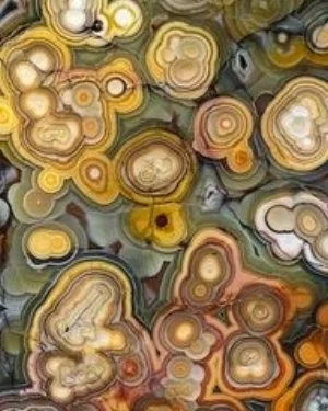 JG agate 3.jpg